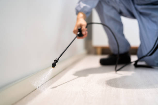 Licensed Pest Control service in Falmouth, KY - Show Me Pest Control
